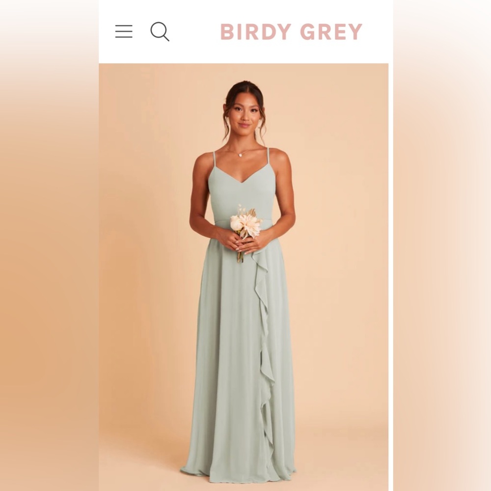 Birdy Grey Theresa Chiffon Sage Dress